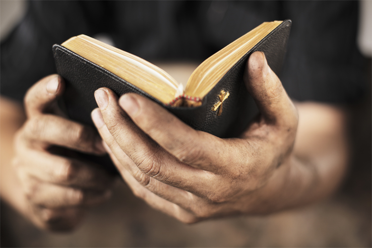 bible in hands reading