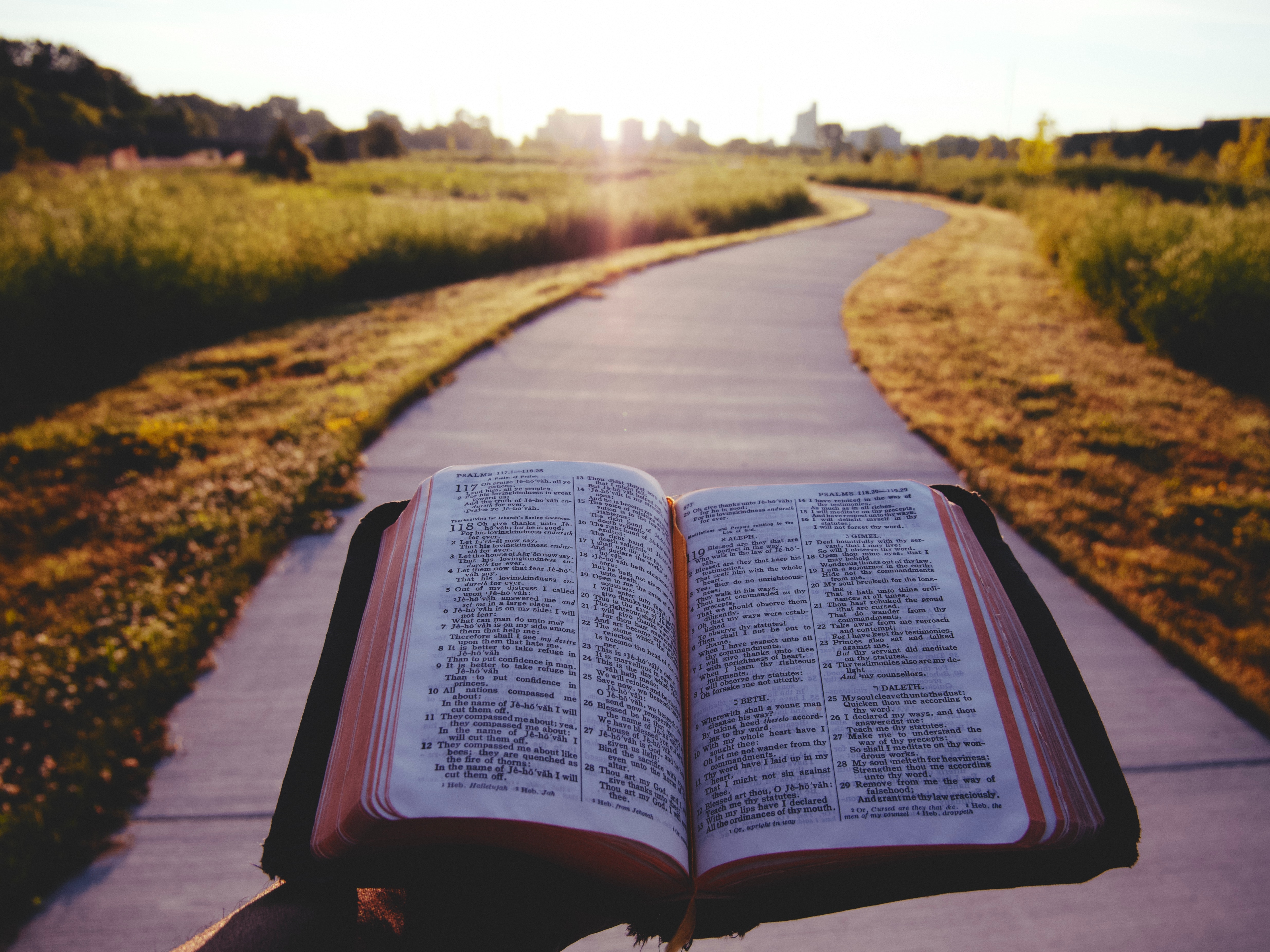 person walking down path with open bible